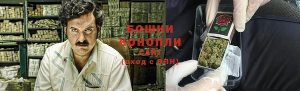 молекула духа Елизово