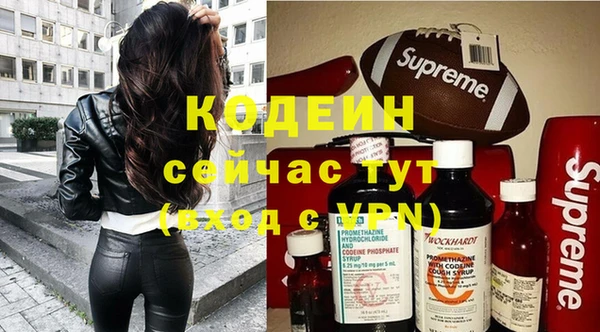 молекула духа Елизово