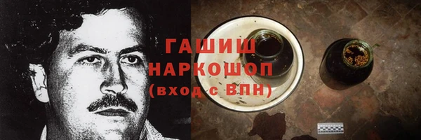спиды Ельня