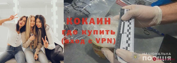 молекула духа Елизово