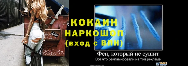 молекула духа Елизово