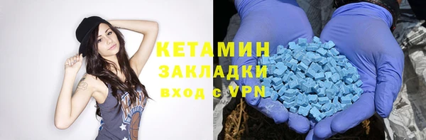 спиды Ельня