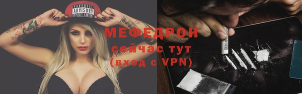 спиды Ельня