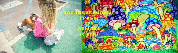 спиды Ельня