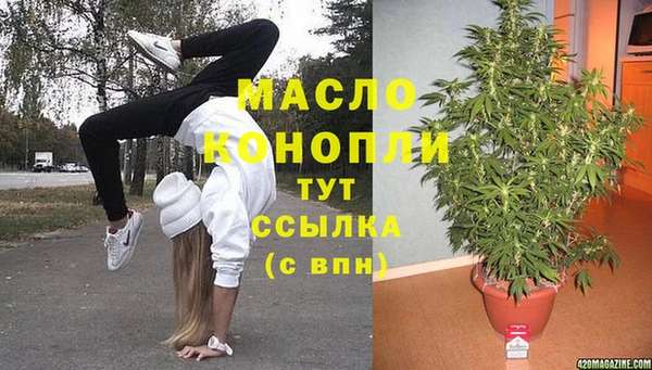 спиды Ельня
