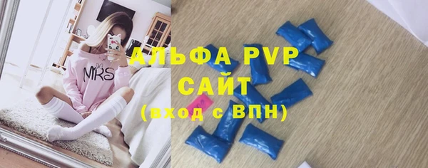 молекула духа Елизово