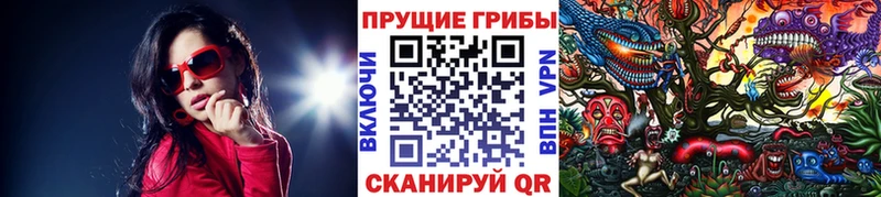 Псилоцибиновые грибы прущие грибы  как найти закладки  Дзержинск 